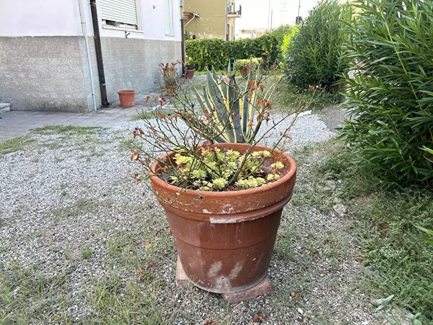 Immagine 19 di Appartamento in vendita  a Castelfranco Di Sotto
