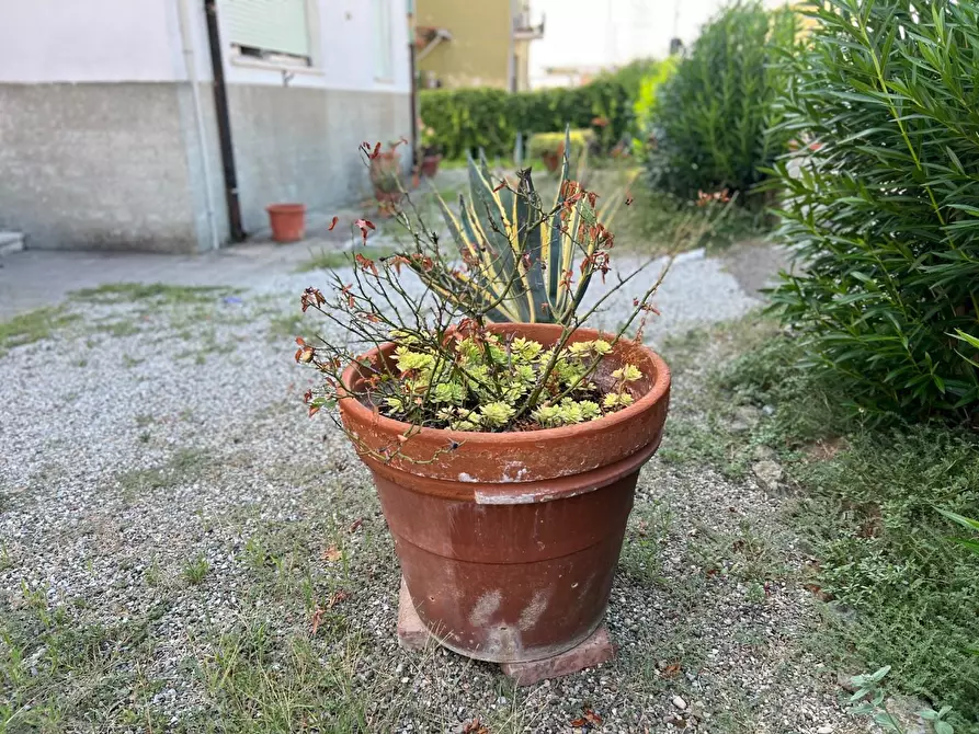 Immagine 26 di Appartamento in vendita  a Castelfranco Di Sotto