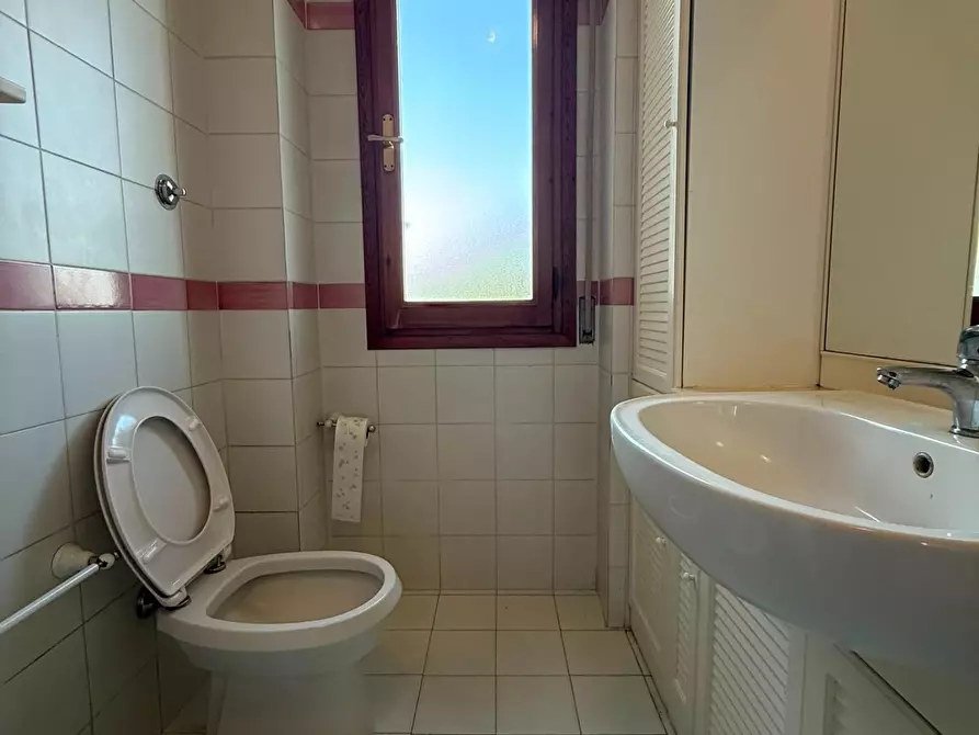 Immagine 13 di Appartamento in affitto  a Pisa
