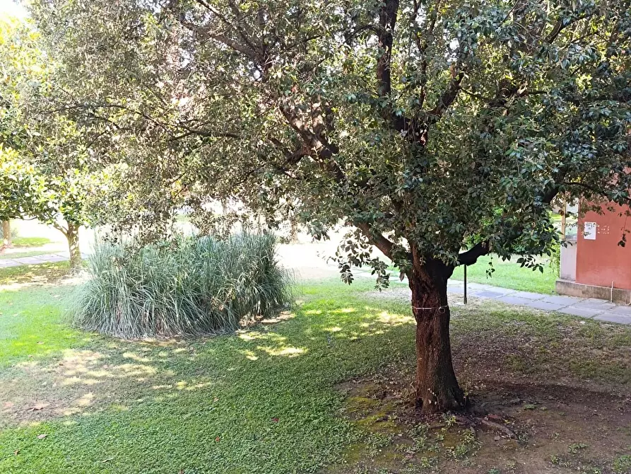 Immagine 23 di Appartamento in vendita  a Livorno