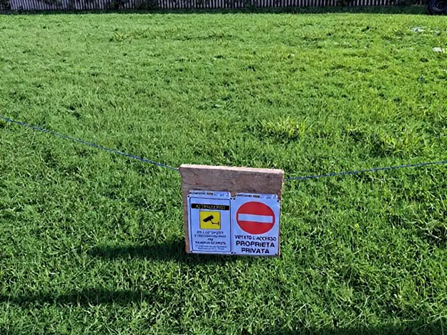 Immagine 1 di Terreno agricolo in vendita  a Pisa