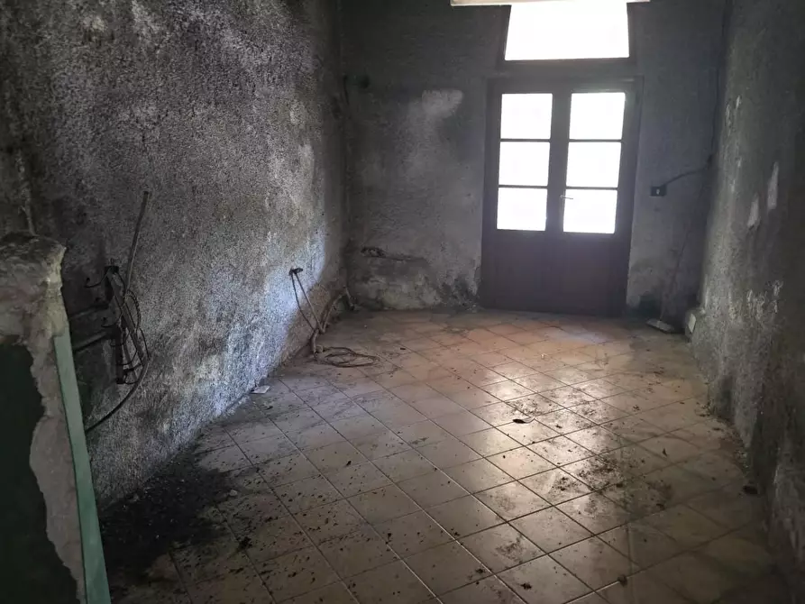 Immagine 38 di Casa colonica in vendita  a Vicopisano