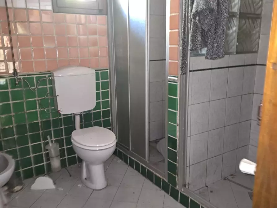 Immagine 32 di Casa colonica in vendita  a Vicopisano