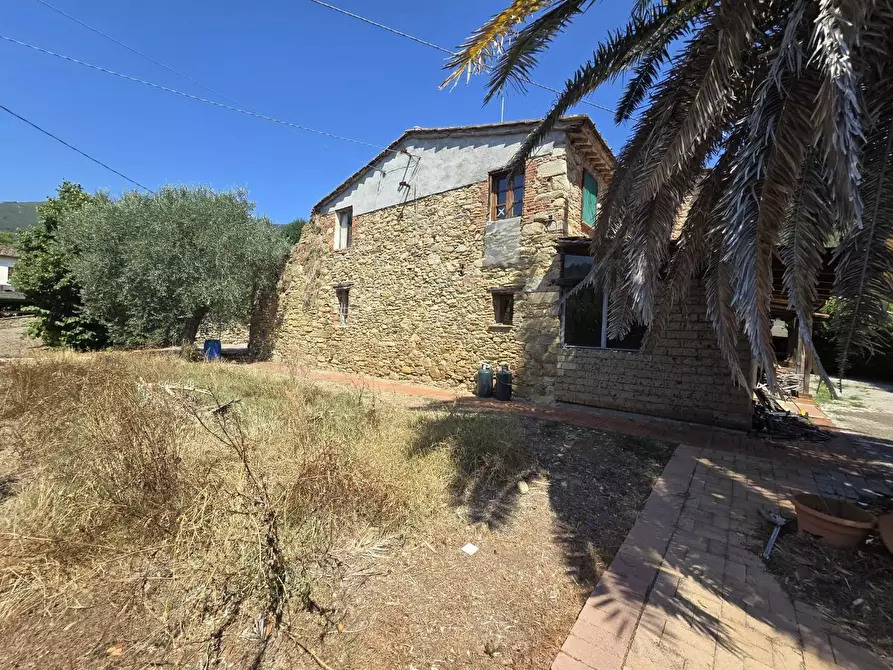 Immagine 1 di Casa colonica in vendita  a Vicopisano