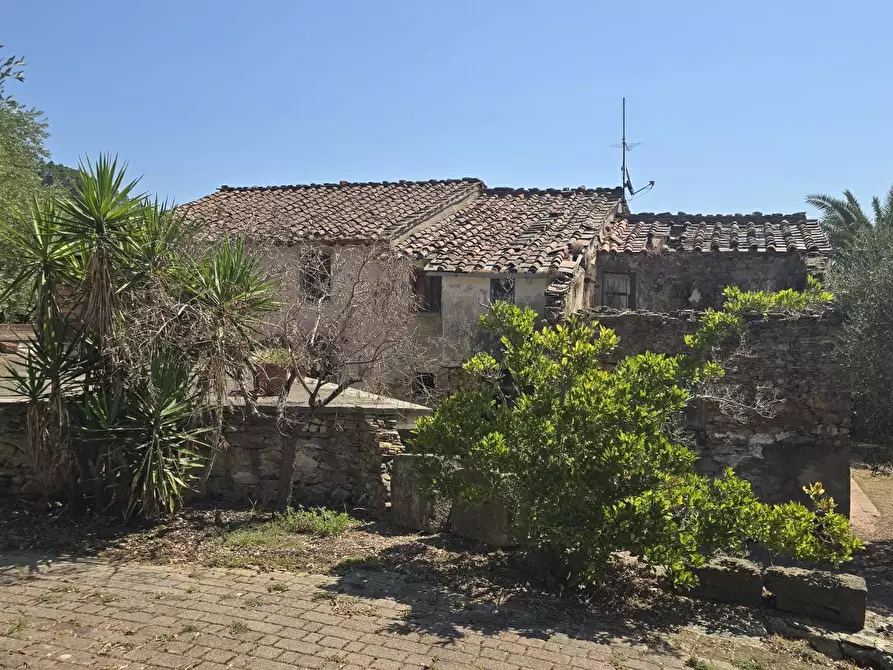 Immagine 27 di Casa colonica in vendita  a Vicopisano
