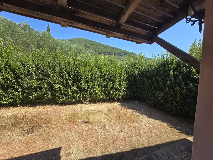 Immagine 20 di Casa colonica in vendita  a Vicopisano