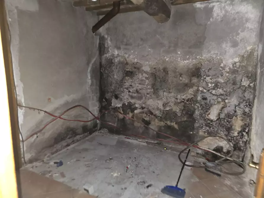 Immagine 2 di Casa colonica in vendita  a Vicopisano