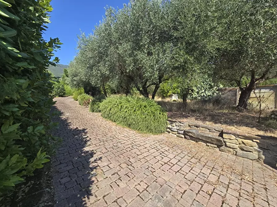 Immagine 15 di Casa colonica in vendita  a Vicopisano