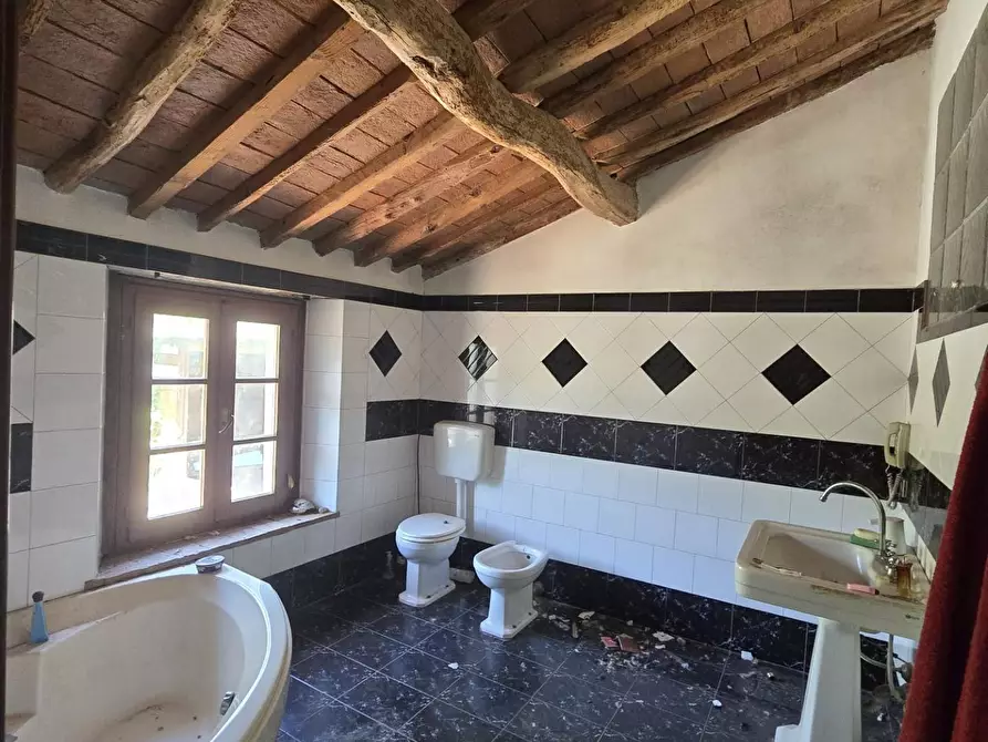 Immagine 13 di Casa colonica in vendita  a Vicopisano