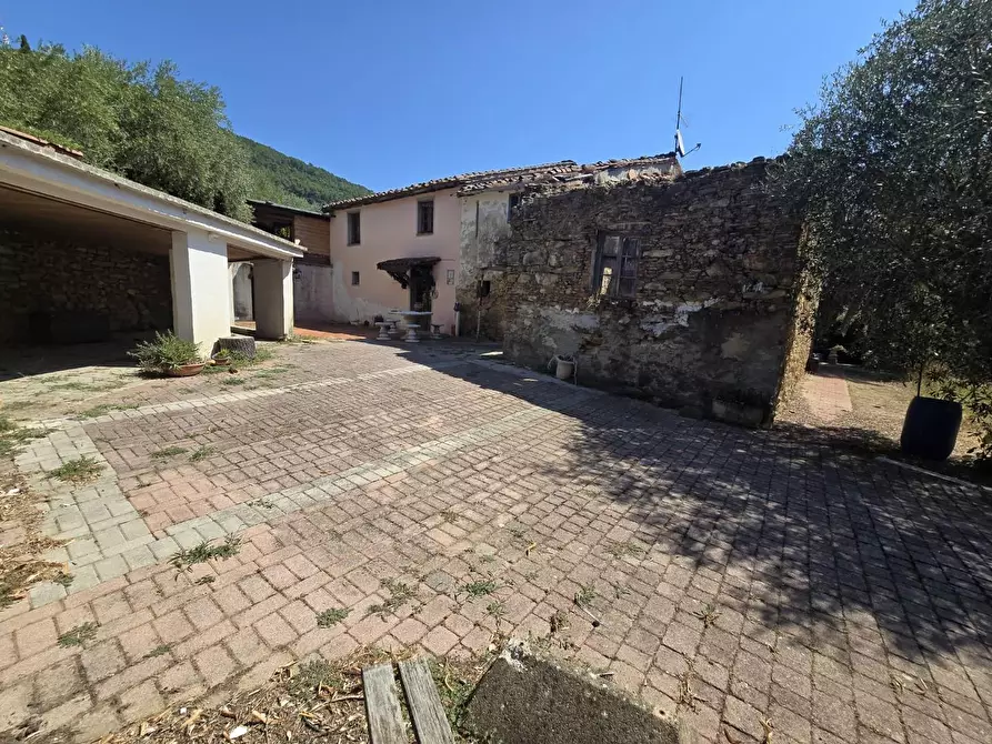 Immagine 22 di Casa colonica in vendita  a Vicopisano