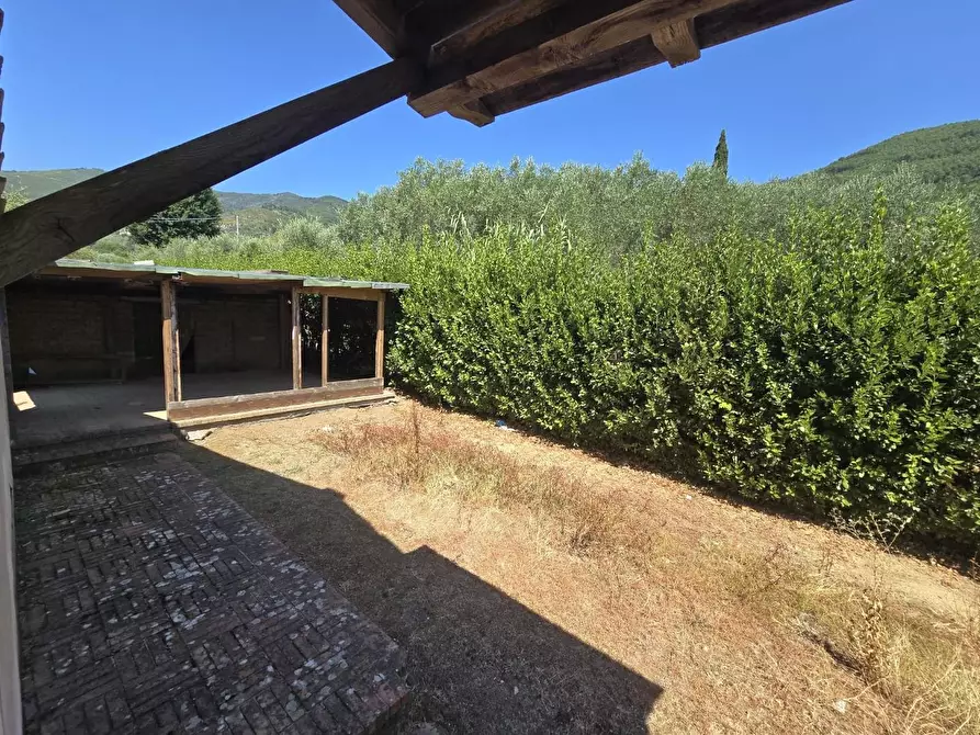 Immagine 40 di Casa colonica in vendita  a Vicopisano
