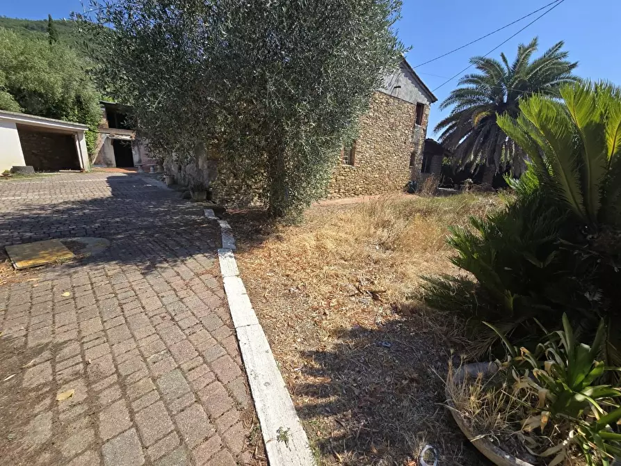 Immagine 17 di Casa colonica in vendita  a Vicopisano