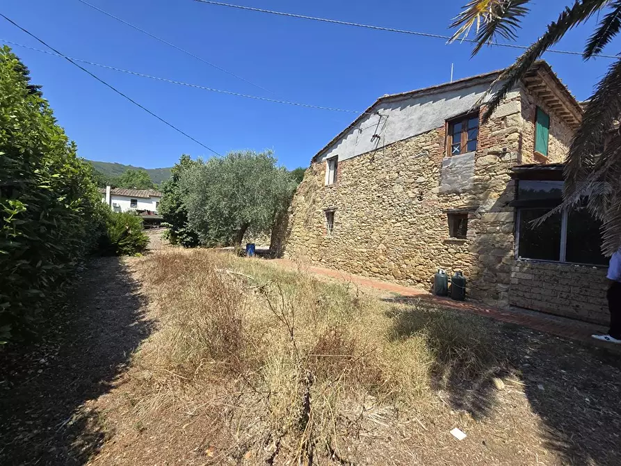 Immagine 36 di Casa colonica in vendita  a Vicopisano