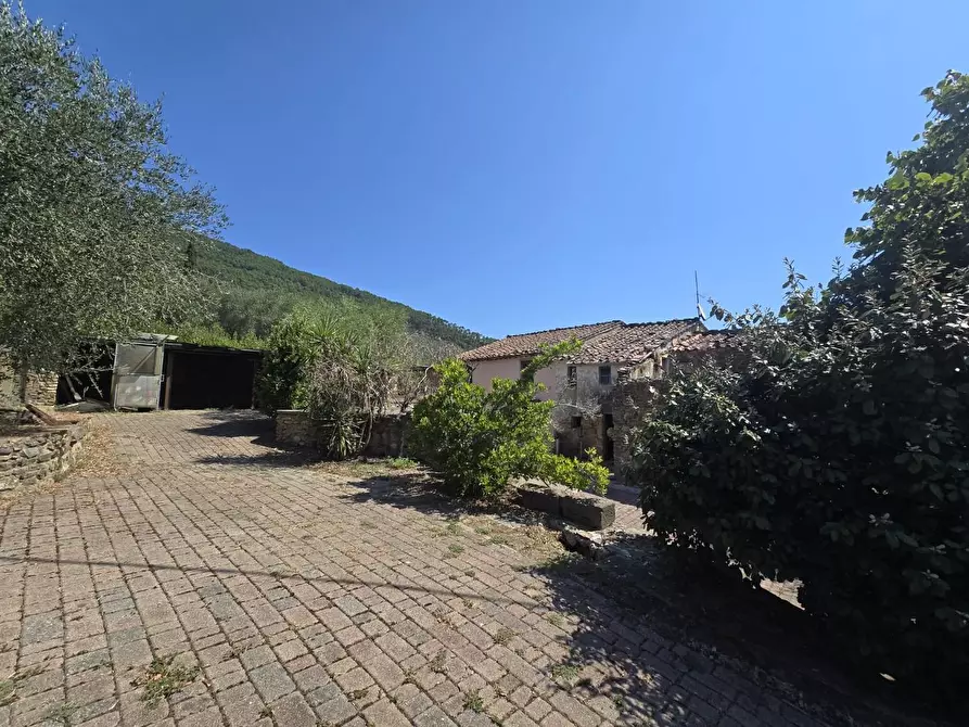 Immagine 8 di Casa colonica in vendita  a Vicopisano