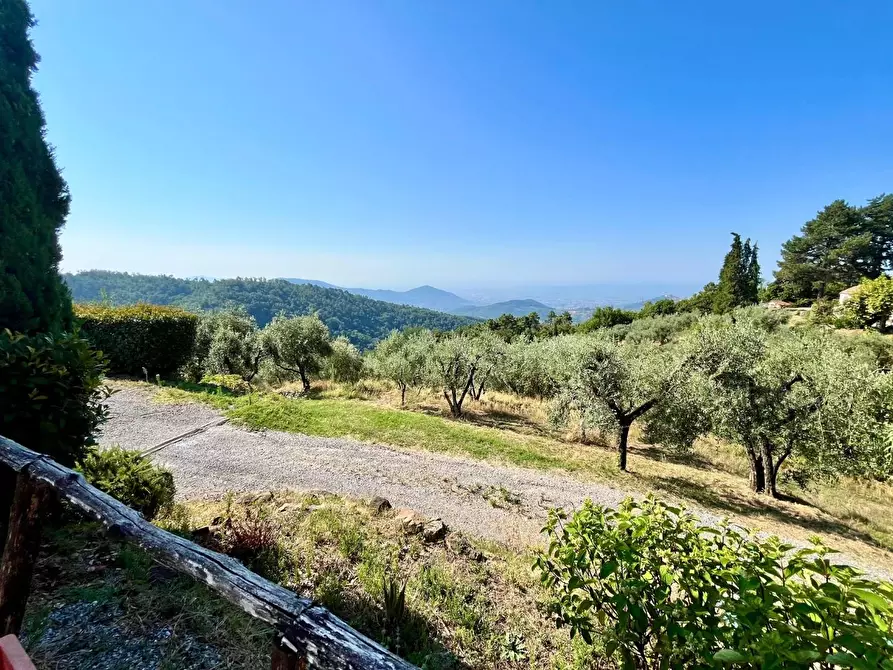 Immagine 42 di Rustico / casale in vendita  a Marliana