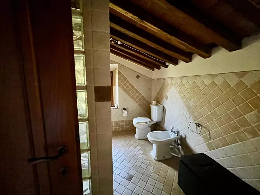Immagine 31 di Rustico / casale in vendita  a Marliana