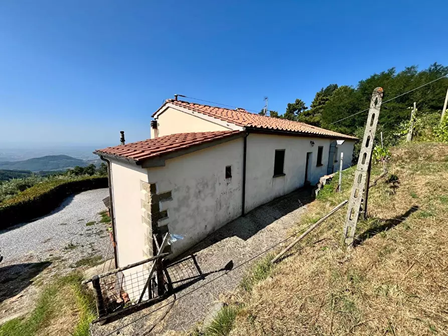 Immagine 43 di Rustico / casale in vendita  a Marliana