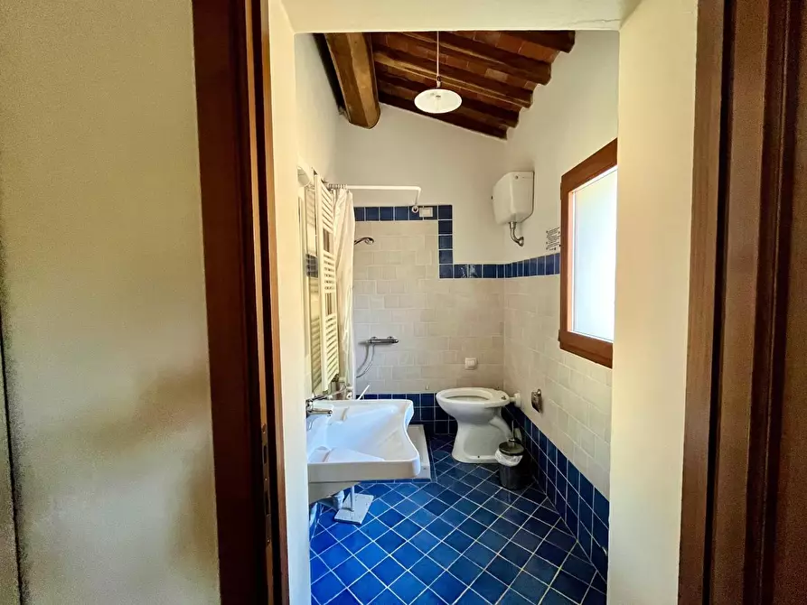Immagine 28 di Rustico / casale in vendita  a Marliana