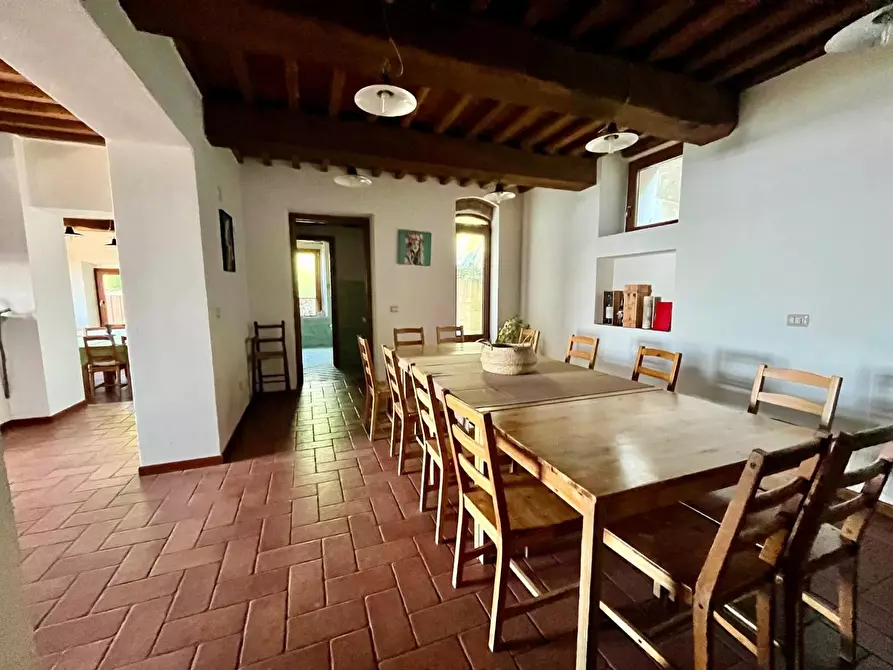 Immagine 6 di Rustico / casale in vendita  a Marliana
