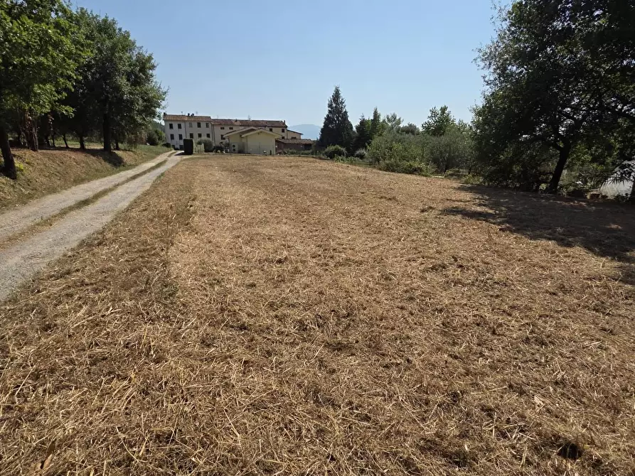 Immagine 1 di Terreno agricolo in vendita  a Porcari