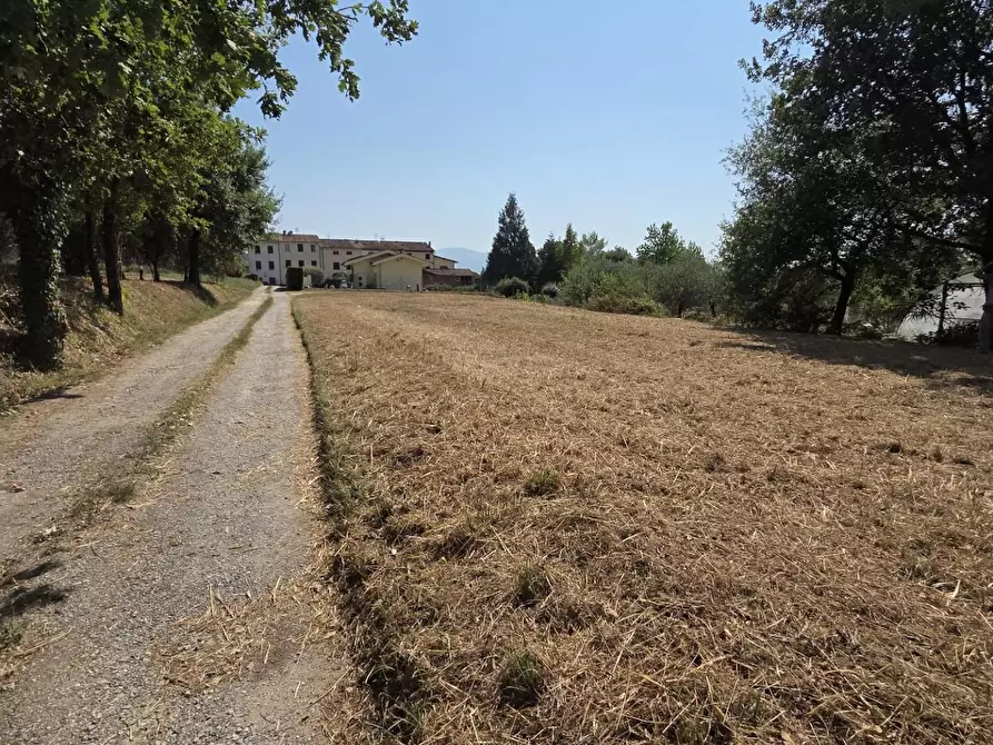 Immagine 4 di Terreno agricolo in vendita  a Porcari