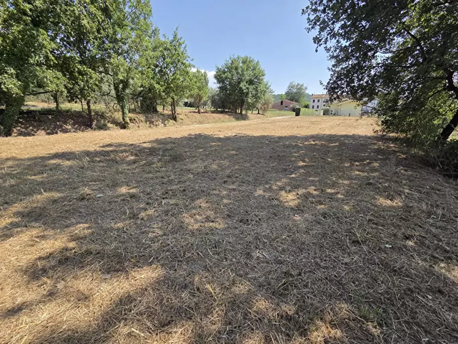 Immagine 2 di Terreno agricolo in vendita  a Porcari