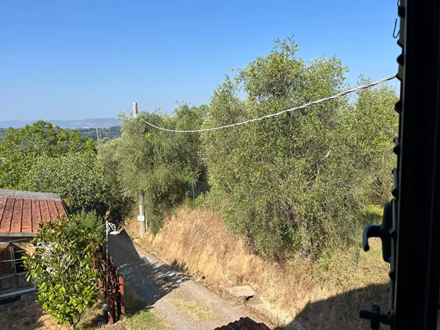 Immagine 10 di Casa semindipendente in vendita  a Peccioli