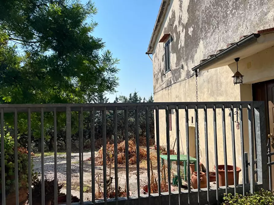 Immagine 11 di Casa semindipendente in vendita  a Peccioli