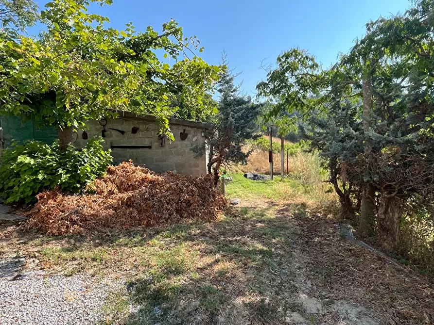 Immagine 3 di Casa semindipendente in vendita  a Peccioli
