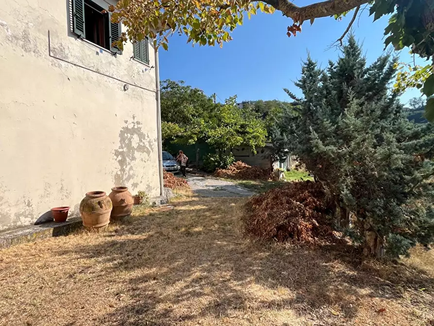 Immagine 4 di Casa semindipendente in vendita  a Peccioli