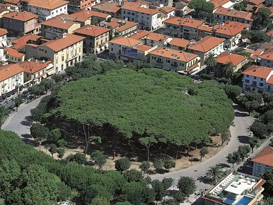 Immagine 10 di Mansarda in vendita  a Forte Dei Marmi