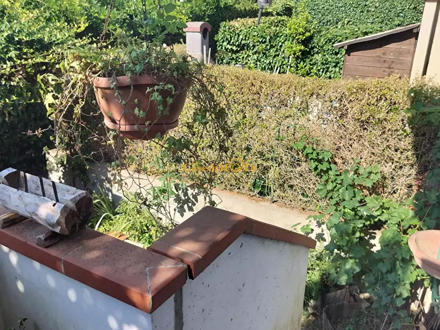Immagine 8 di Villetta a schiera in vendita  a Rosignano Marittimo