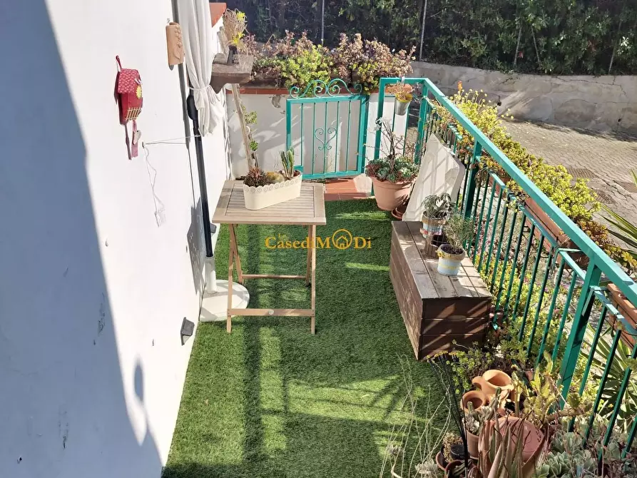 Immagine 18 di Villetta a schiera in vendita  a Rosignano Marittimo
