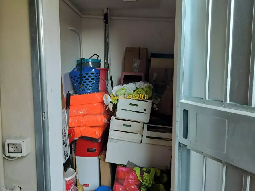 Immagine 31 di Villetta a schiera in vendita  a Rosignano Marittimo