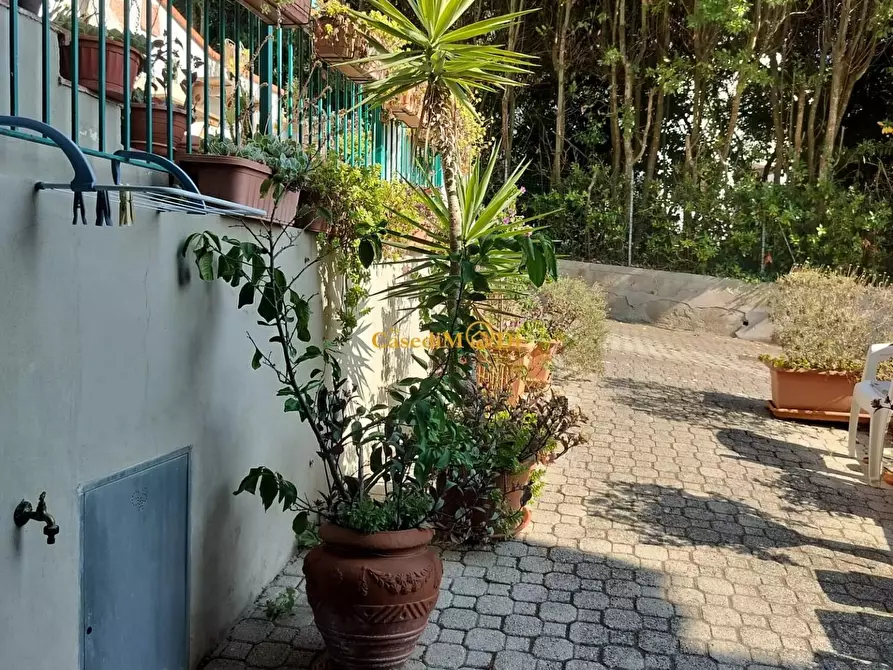 Immagine 39 di Villetta a schiera in vendita  a Rosignano Marittimo