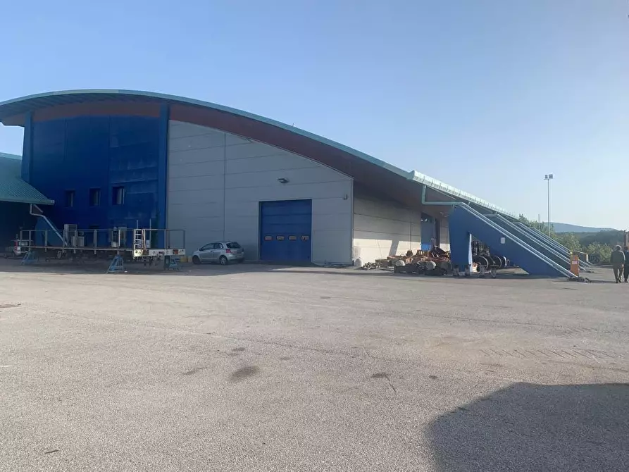 Immagine 2 di Capannone industriale in affitto  a Collesalvetti