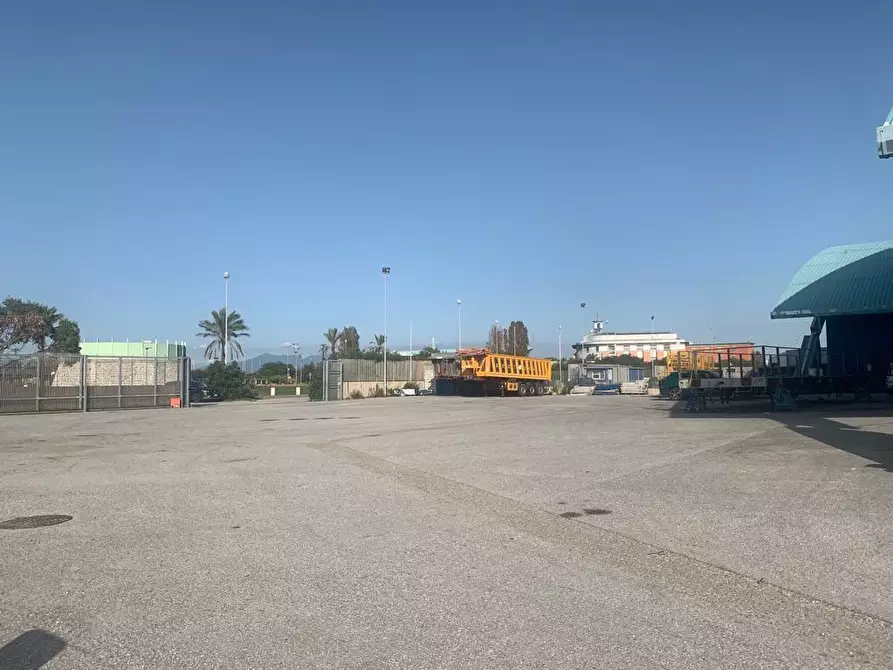 Immagine 3 di Capannone industriale in affitto  a Collesalvetti
