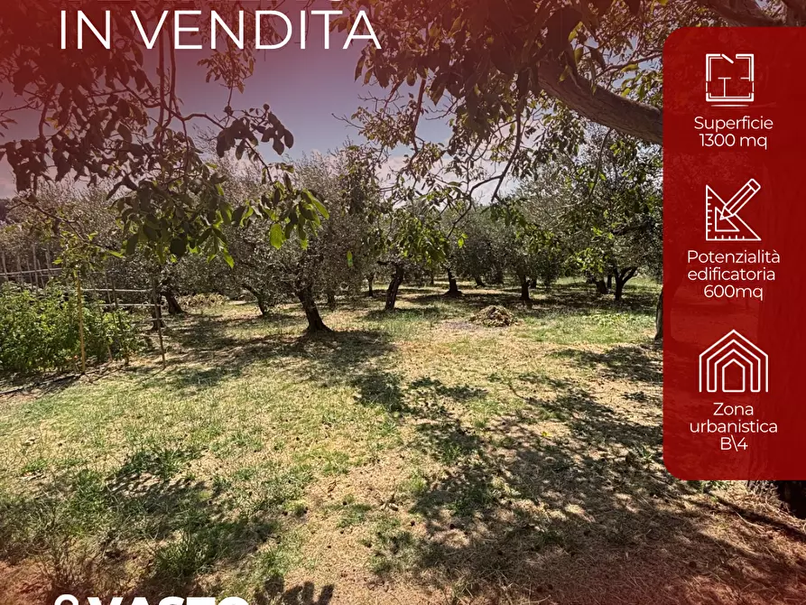 Immagine 1 di Terreno agricolo in vendita  a Monteodorisio