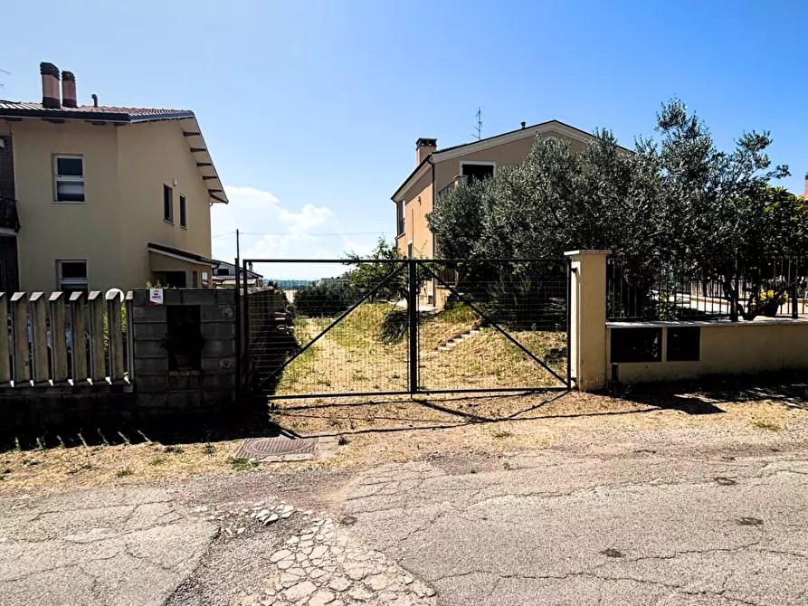 Immagine 2 di Terreno agricolo in vendita  a Monteodorisio