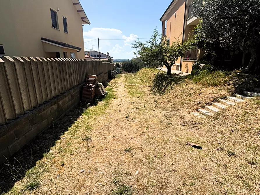 Immagine 3 di Terreno agricolo in vendita  a Monteodorisio