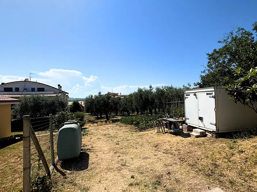 Immagine 7 di Terreno agricolo in vendita  a Monteodorisio