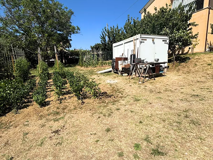 Immagine 5 di Terreno agricolo in vendita  a Monteodorisio