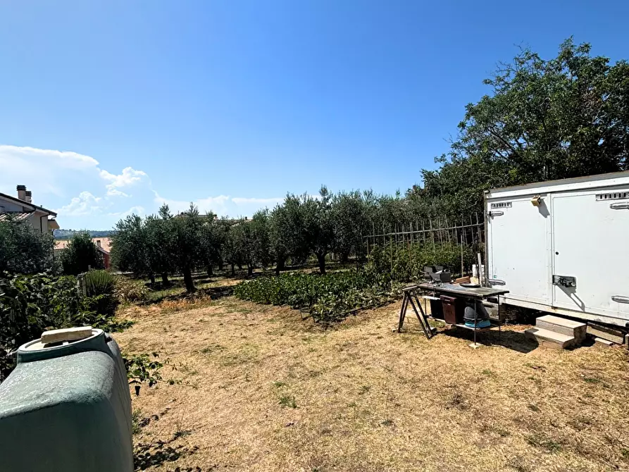 Immagine 8 di Terreno agricolo in vendita  a Monteodorisio