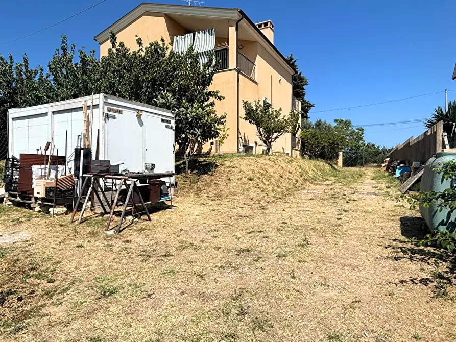 Immagine 6 di Terreno agricolo in vendita  a Monteodorisio