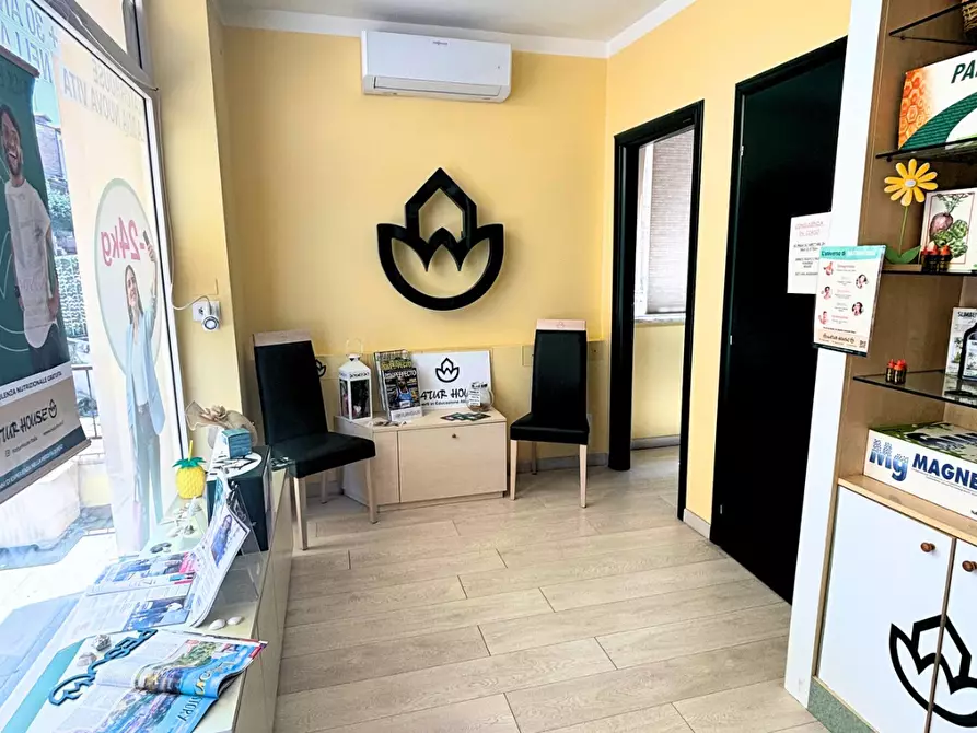 Immagine 5 di Attività commerciale in vendita  a Vasto