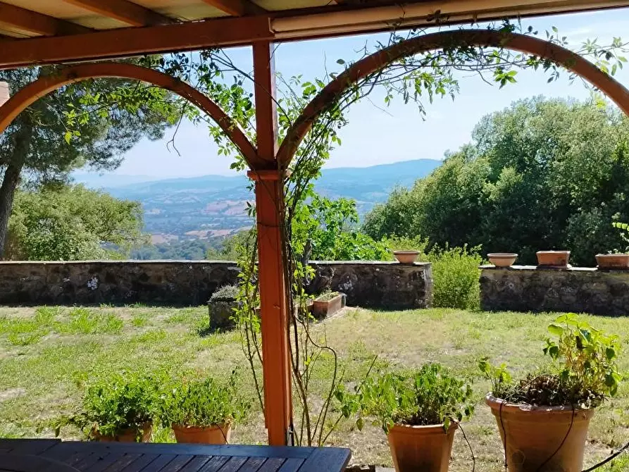 Immagine 10 di Casa indipendente in vendita  a Scansano