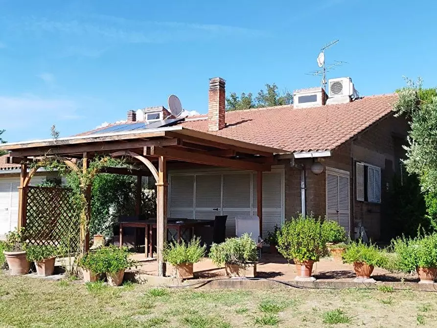 Immagine 8 di Casa indipendente in vendita  a Scansano