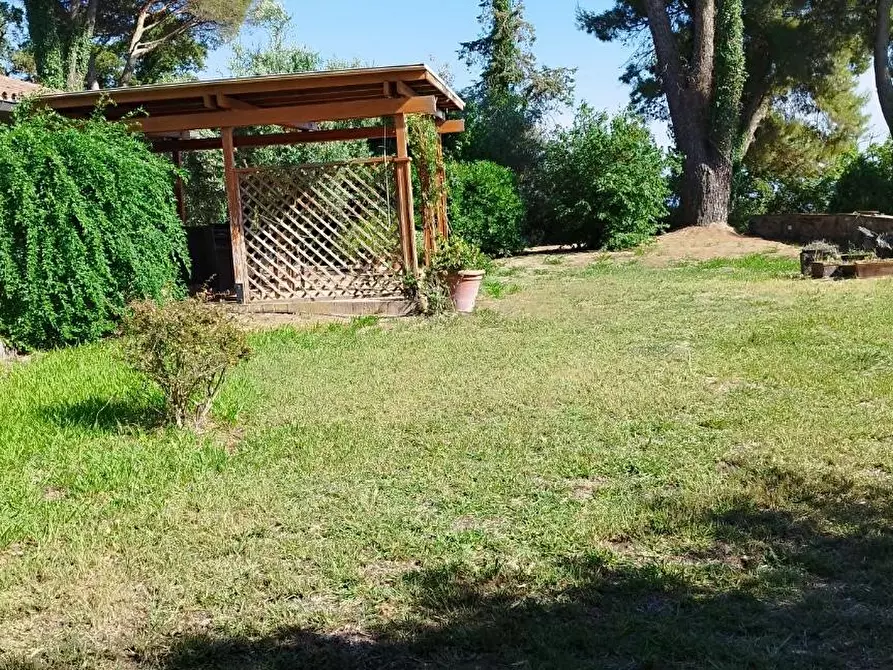 Immagine 9 di Casa indipendente in vendita  a Scansano