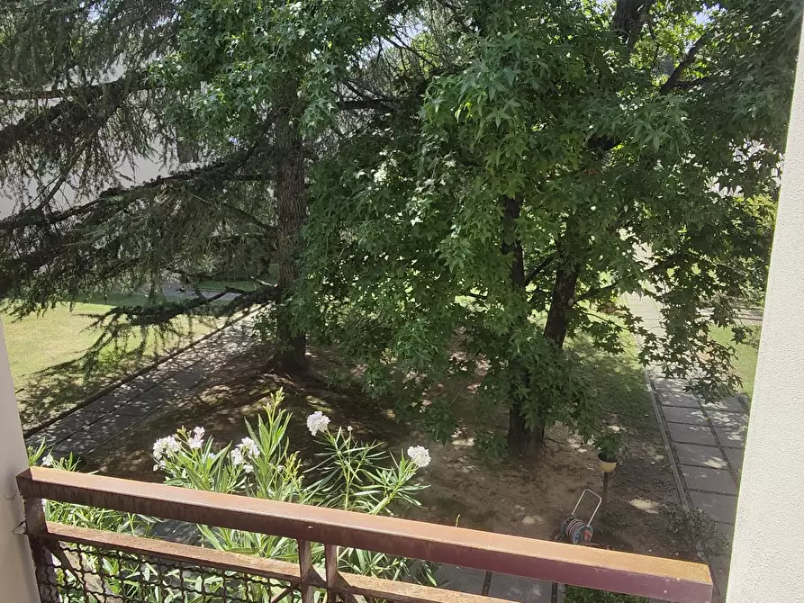 Immagine 30 di Villetta a schiera in vendita  a Pisa