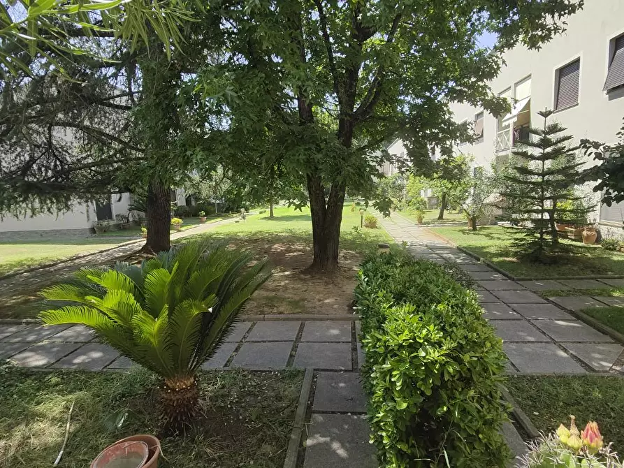 Immagine 1 di Villetta a schiera in vendita  a Pisa